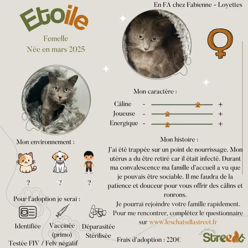 Etoile