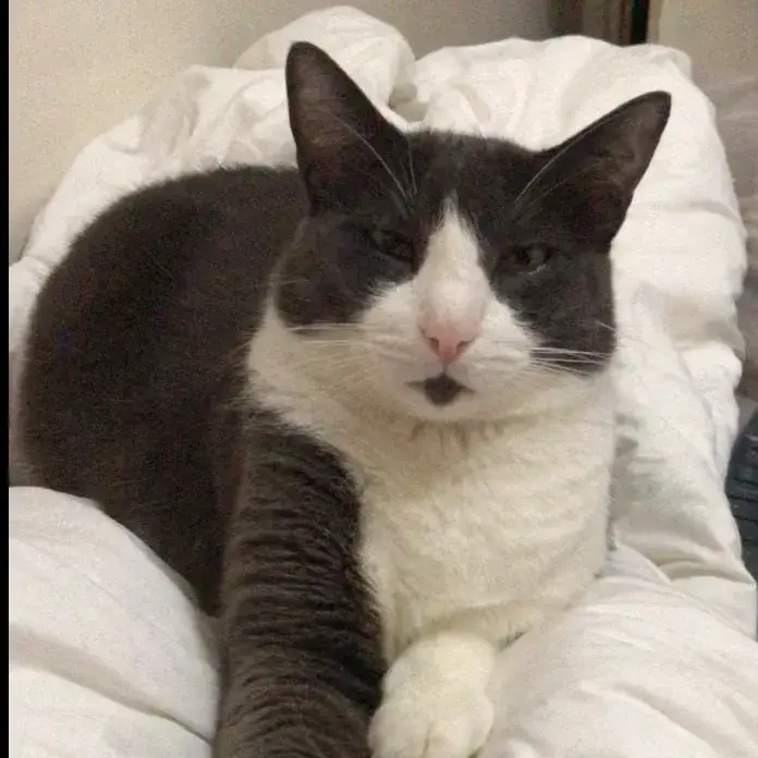 Tom