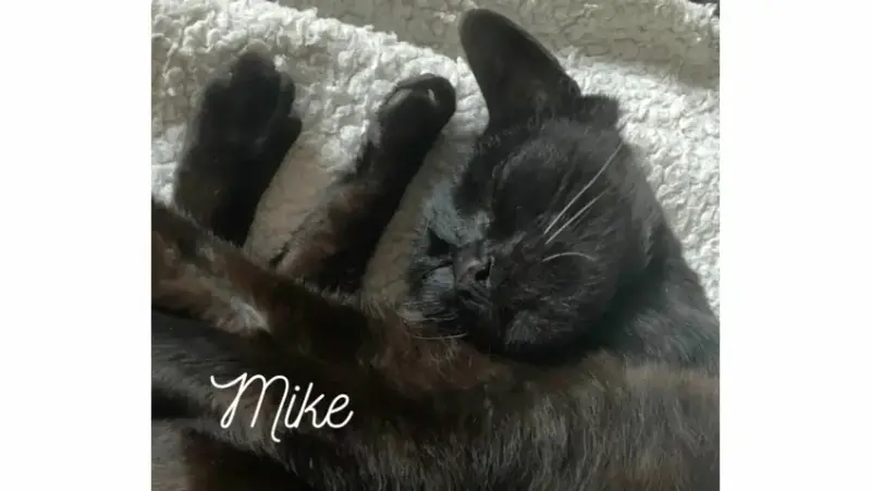Mike