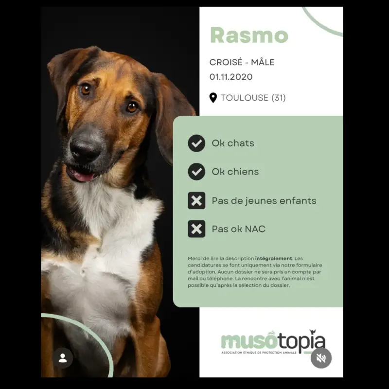 Rasmo