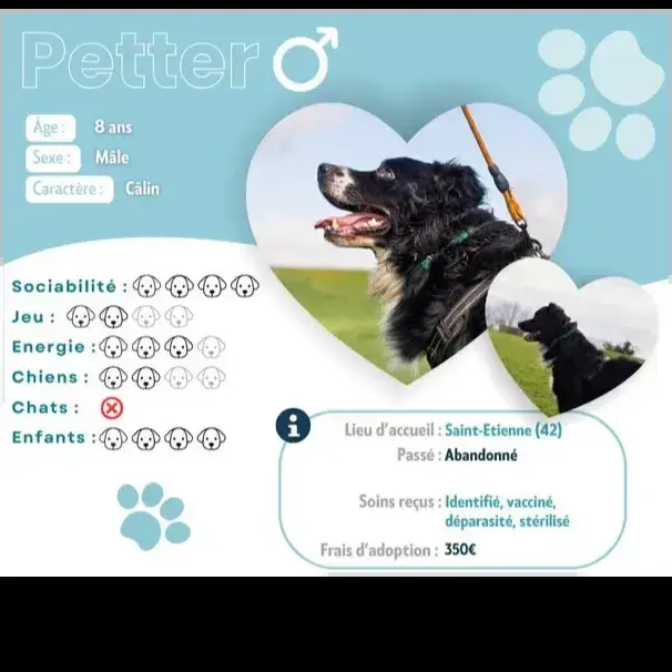 Petter