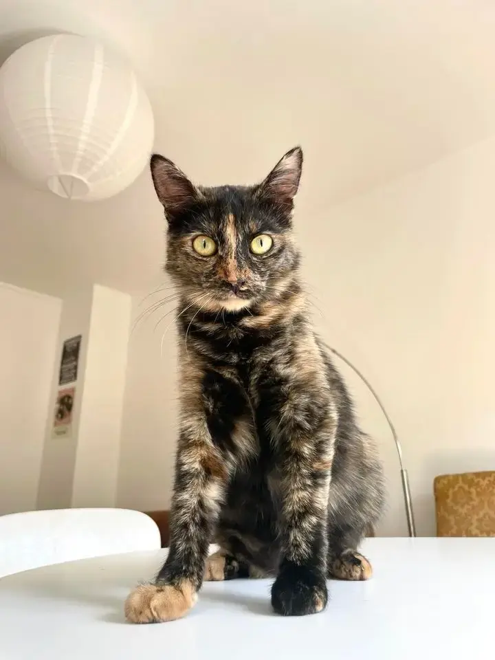 Mathilda