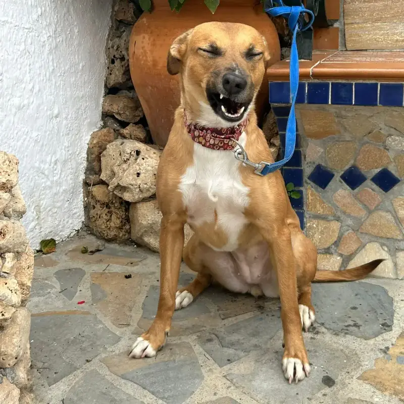 Mari-Oli / Los Reyes
