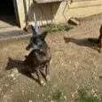 Win