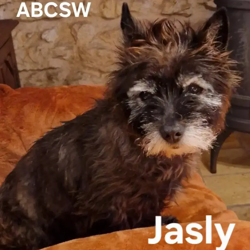 Jasly
