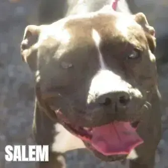 Salem