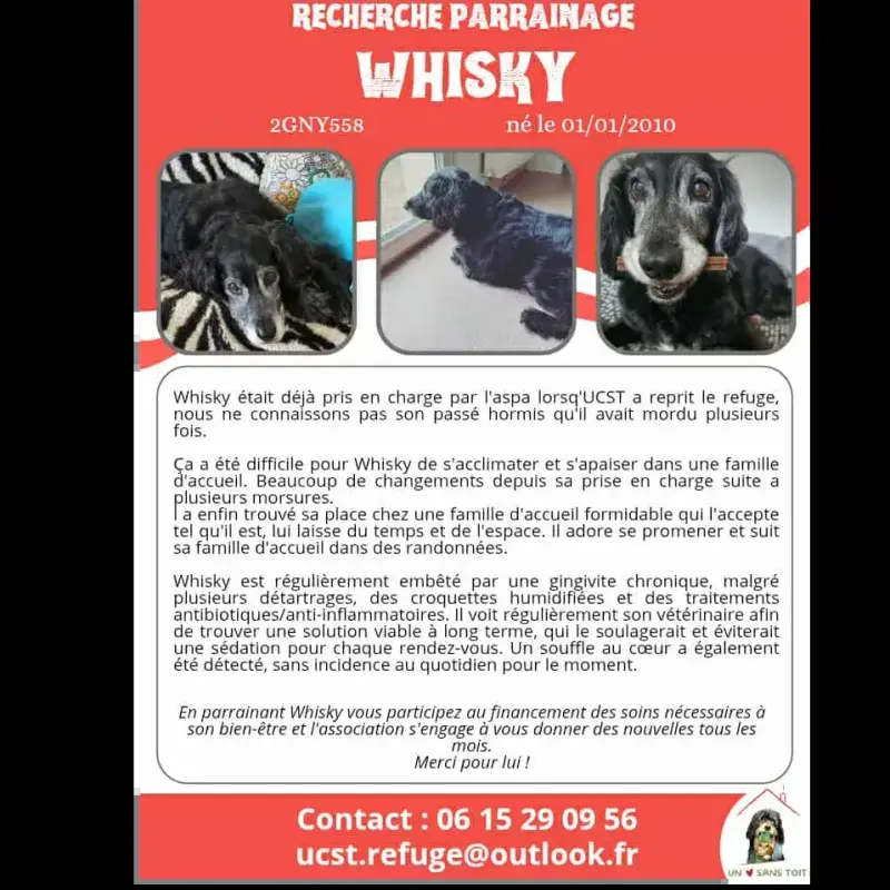 Whisky