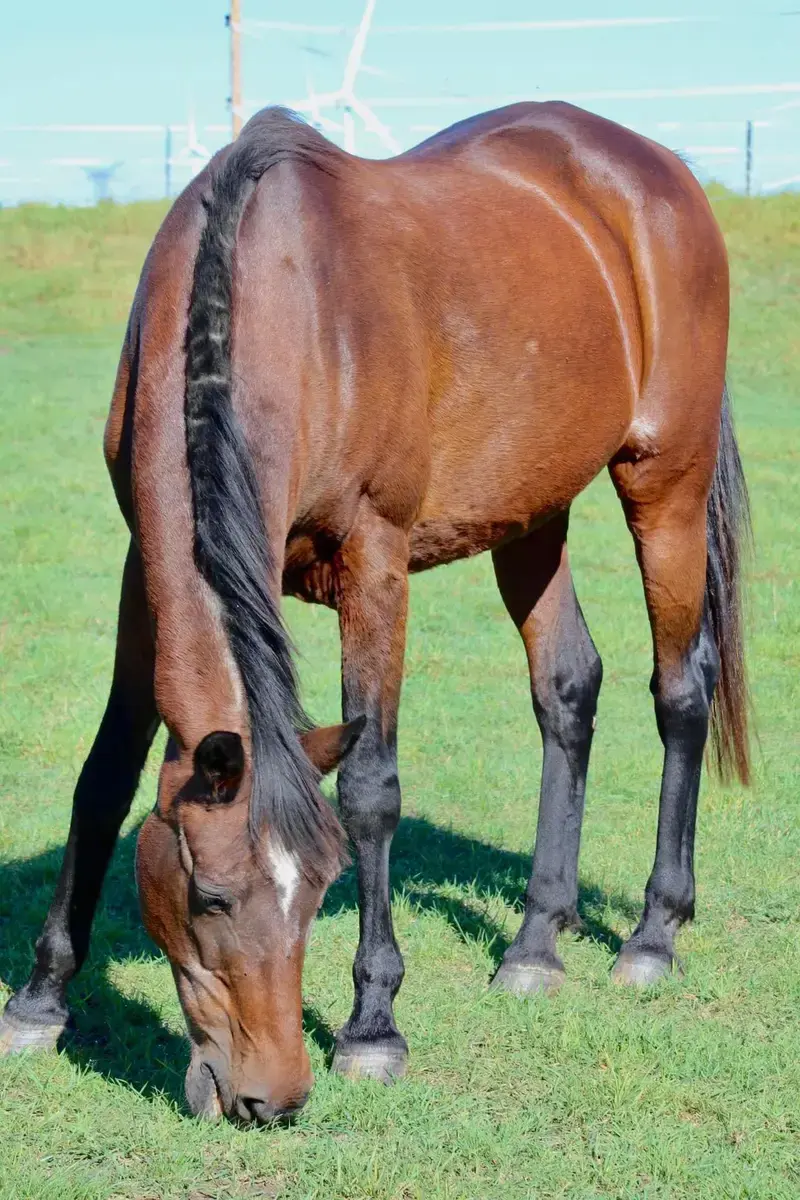 Lueur