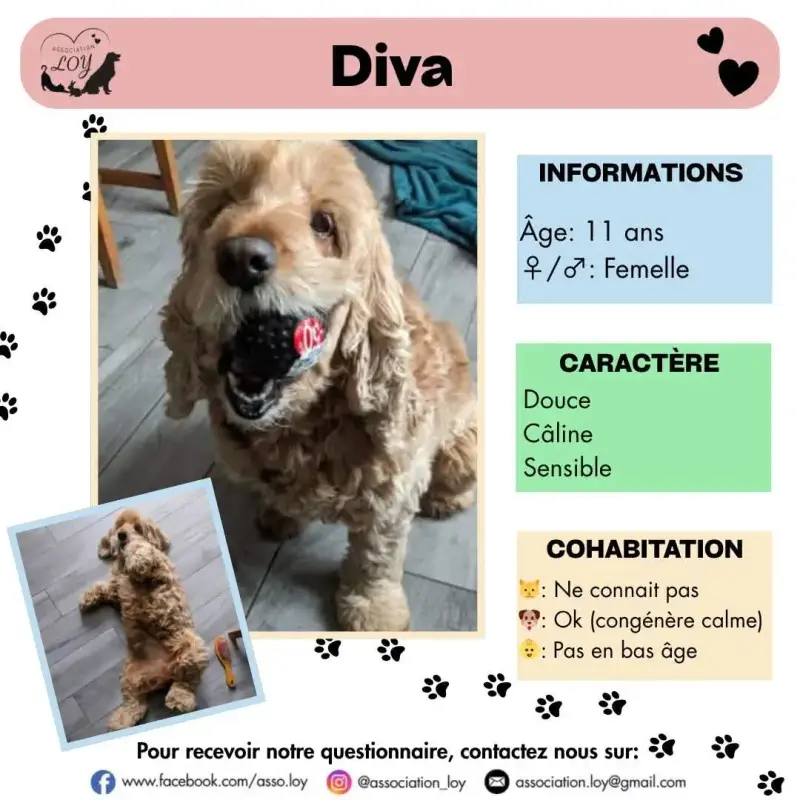 Diva