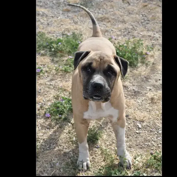 Marley