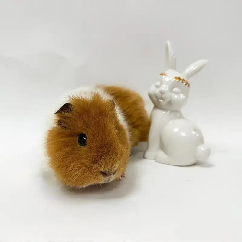 Chouquette