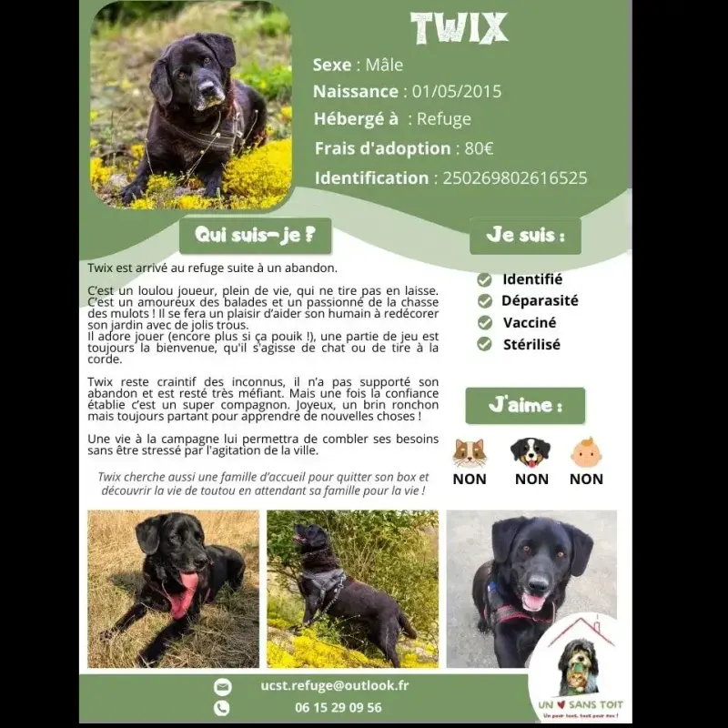 Twix