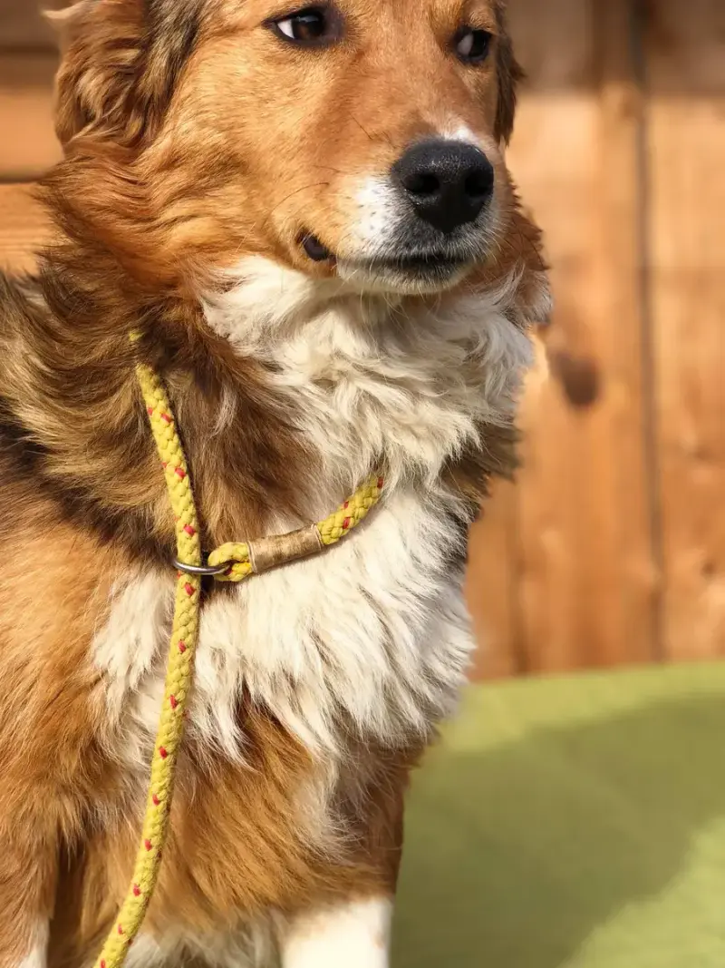 Pixel