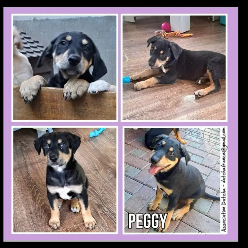 Peggy