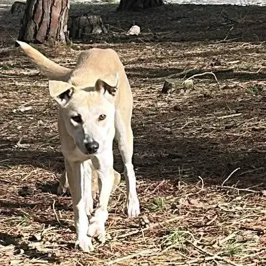 Aby