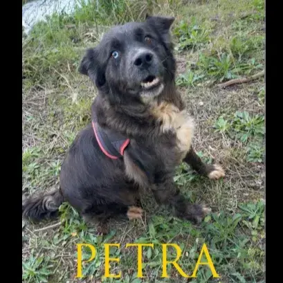 Petra