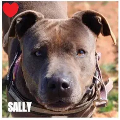 Sally