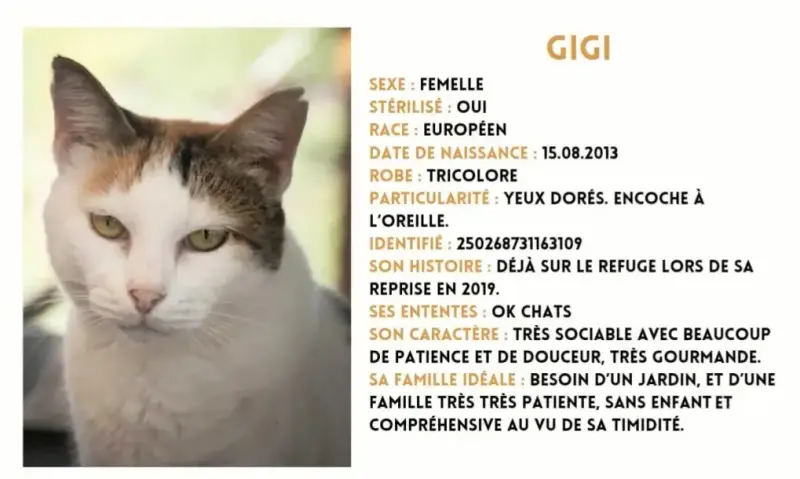 Gigi