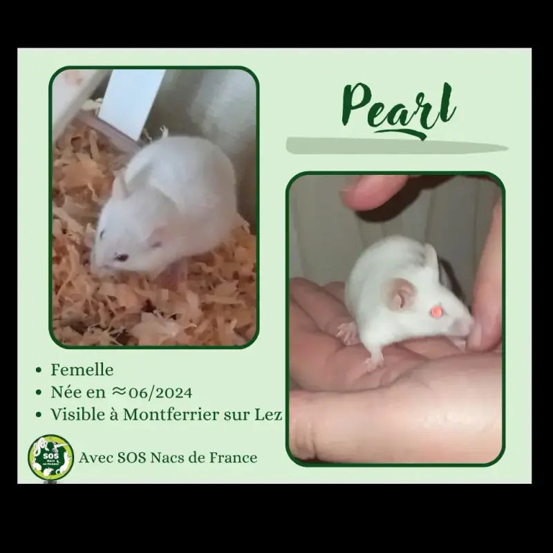 Pearl