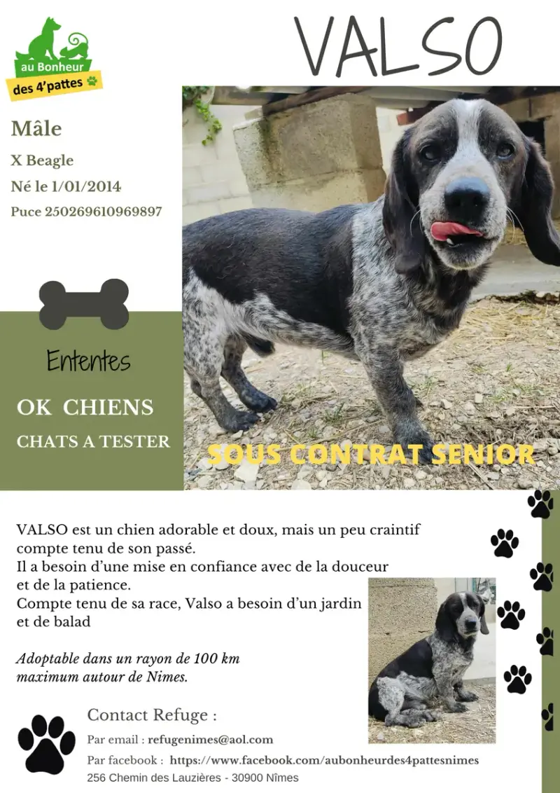 Valso