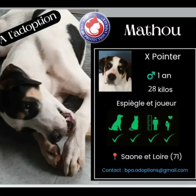Mathou