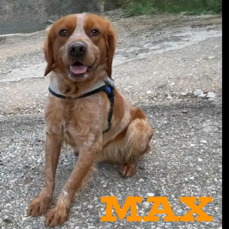 Max 2
