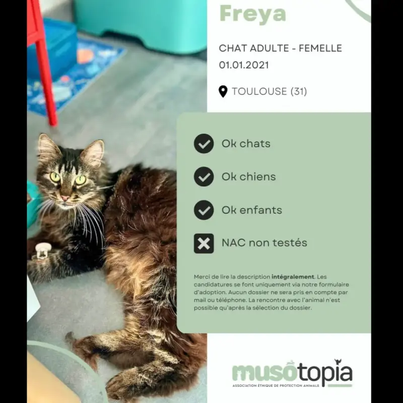 Freya