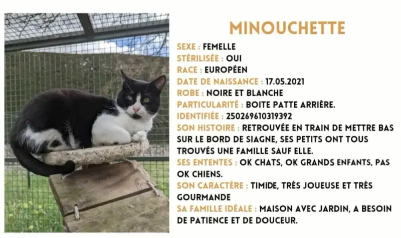 Minouchette