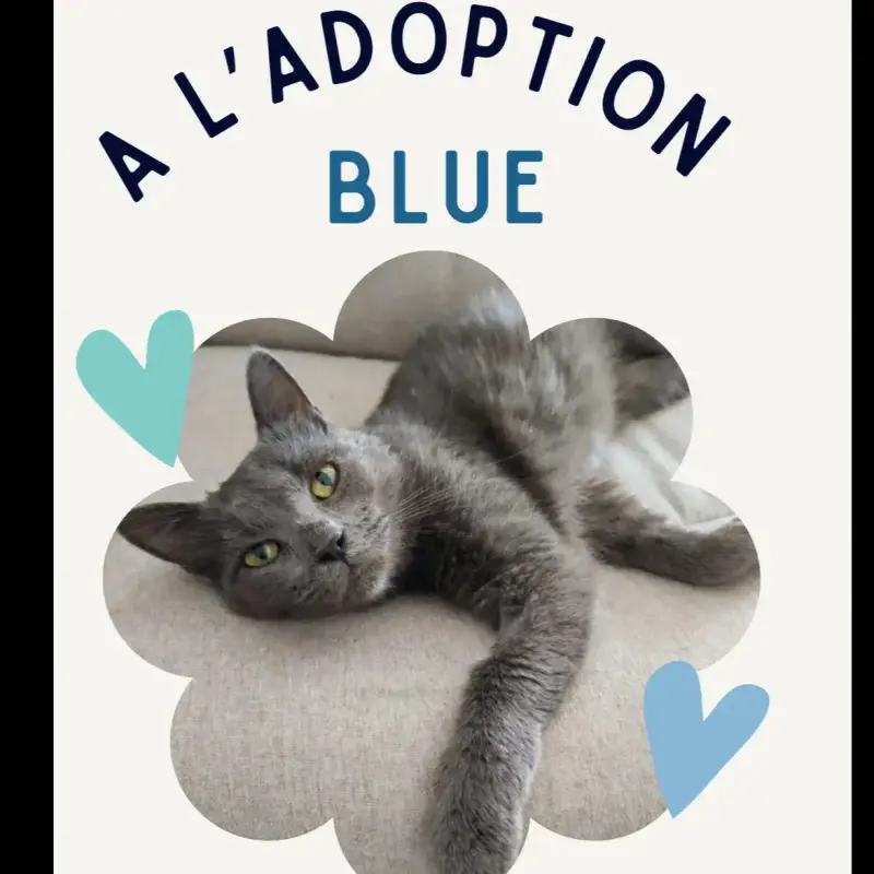 Blue