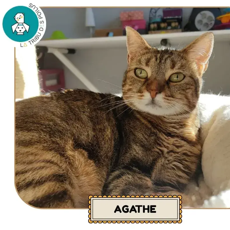 Agathe
