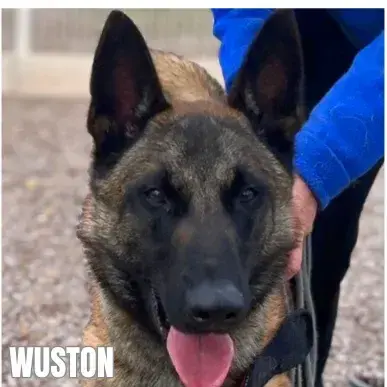 Wuston