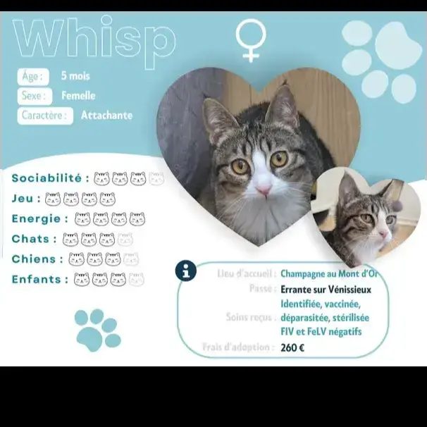 Whisp