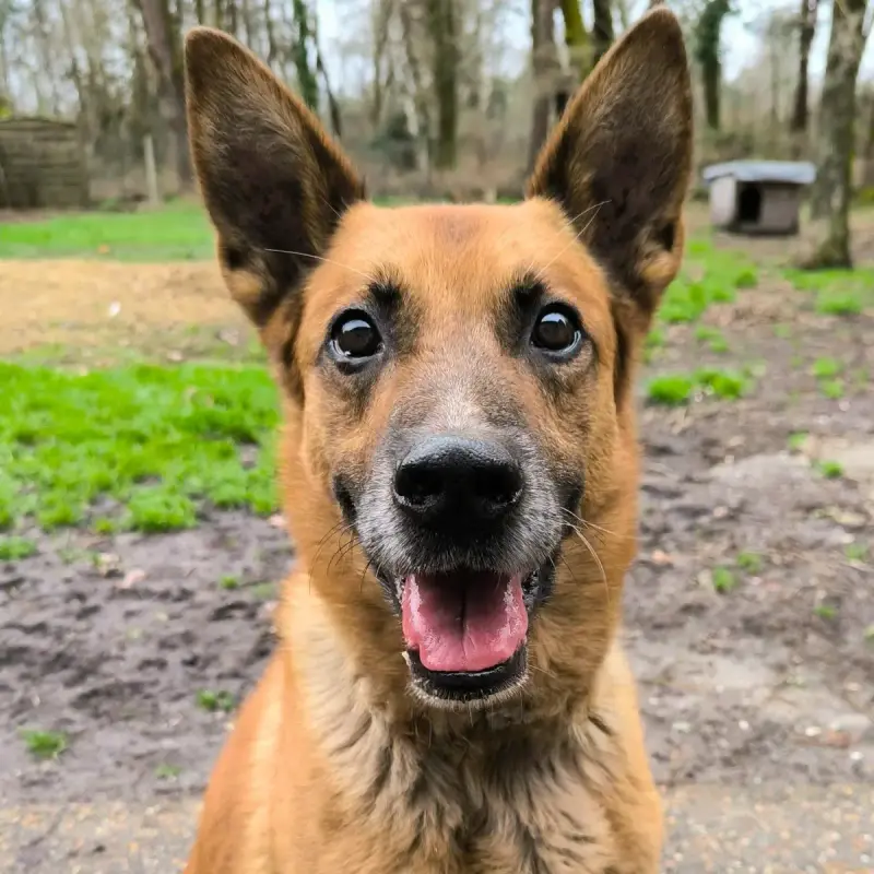 Leytho