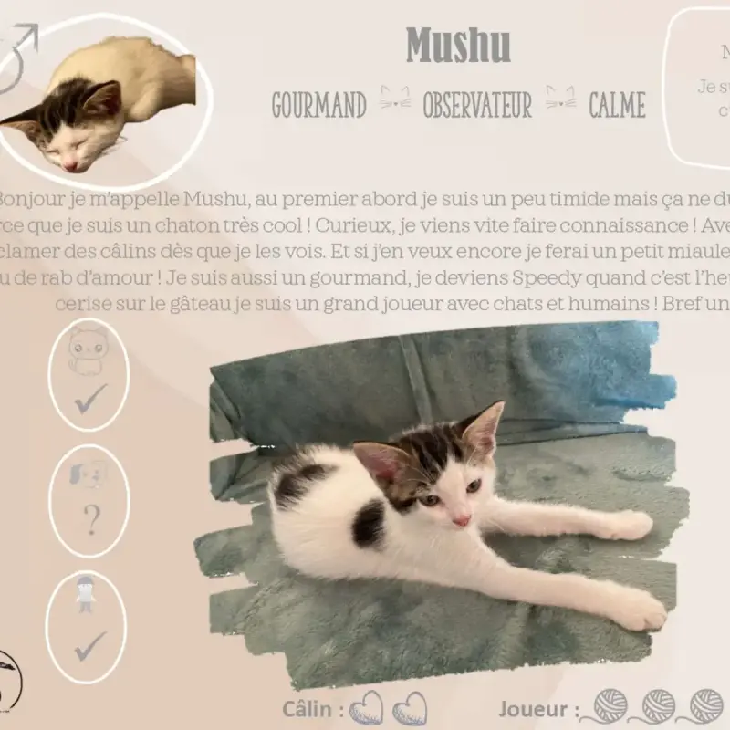 Mushu