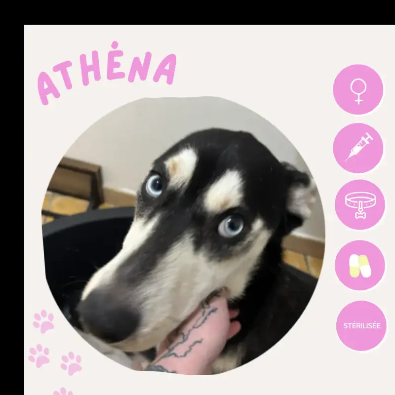 Athéna