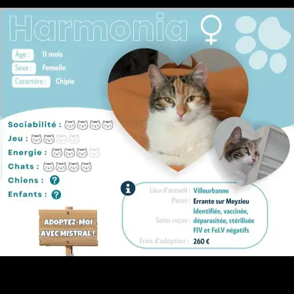 Harmonia