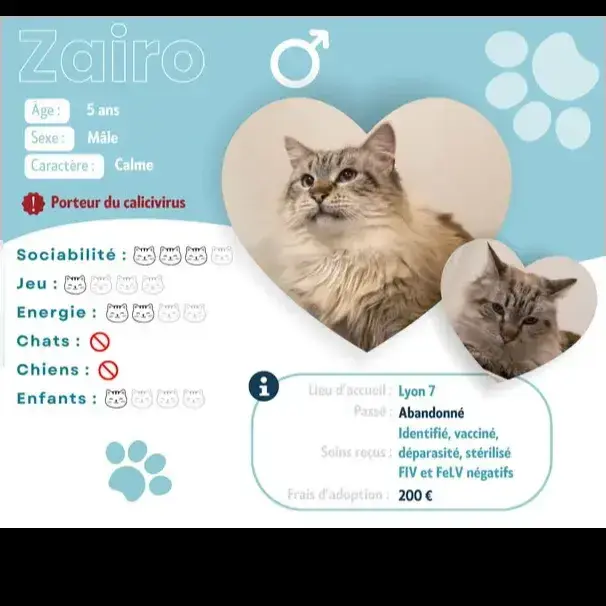 Zairo