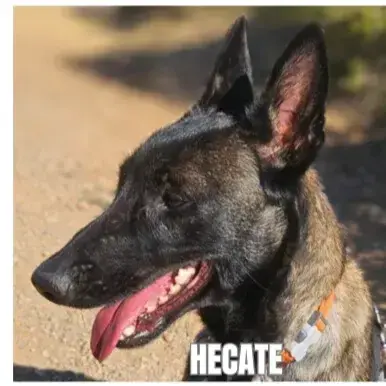 Hecate