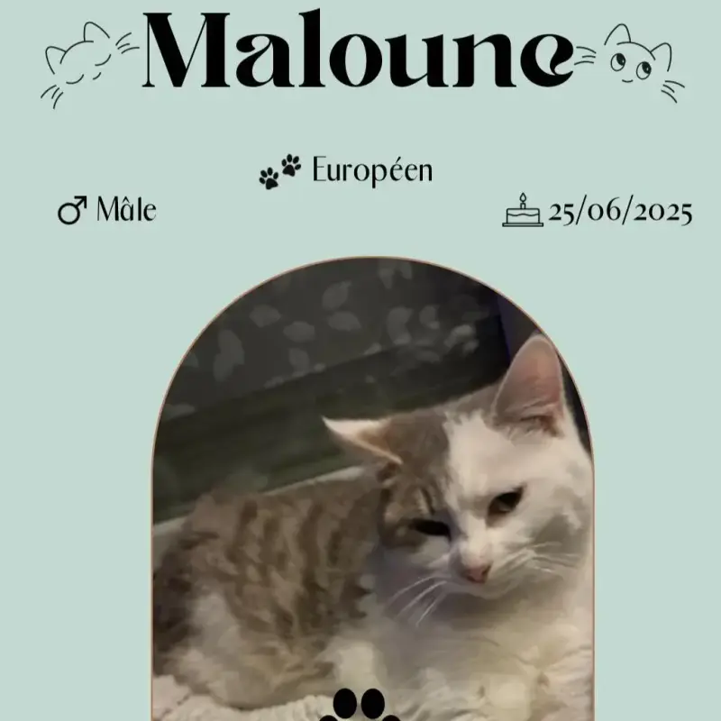Maloune