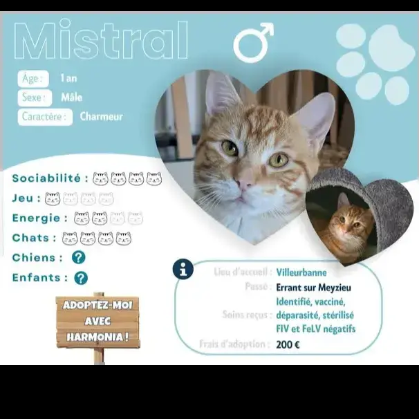 Mistral