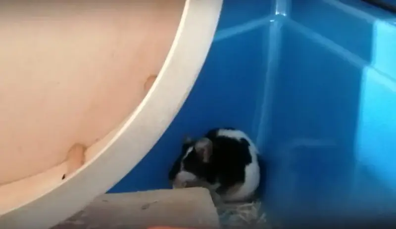 Téquila