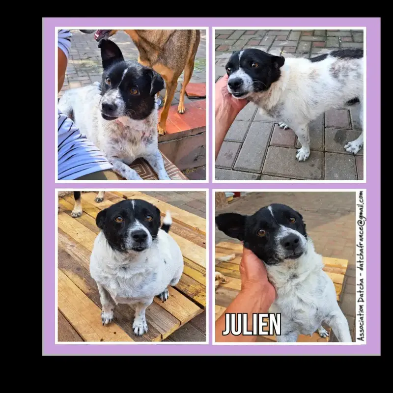 Julien
