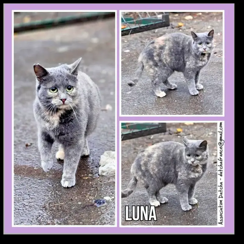 Luna