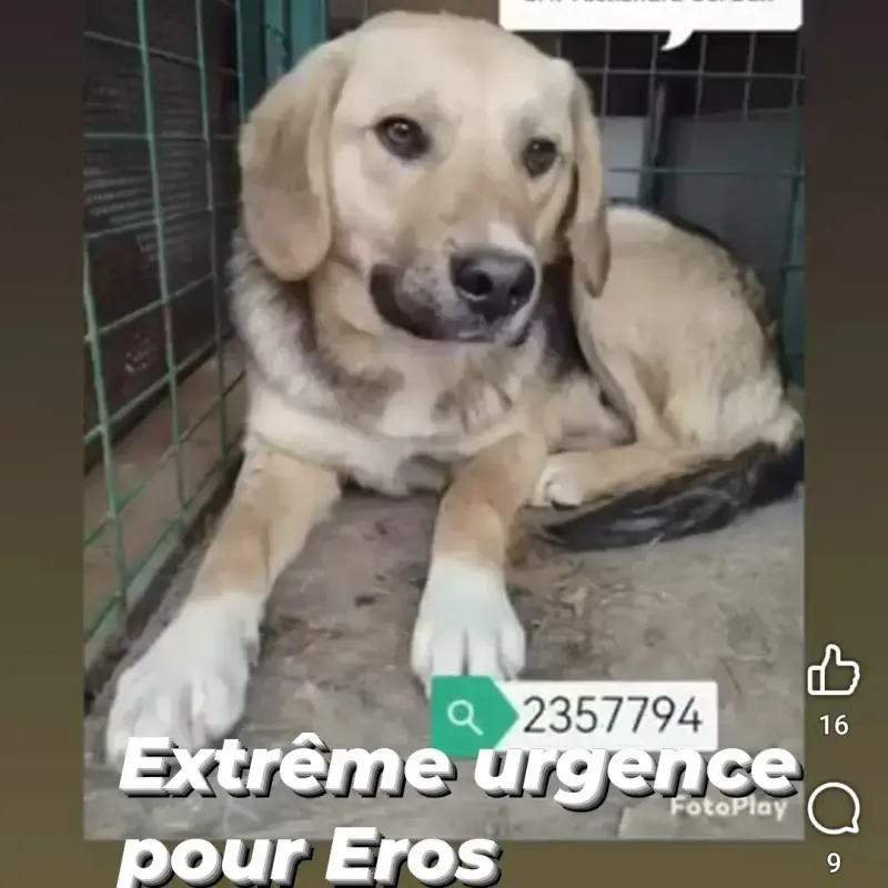 Éros