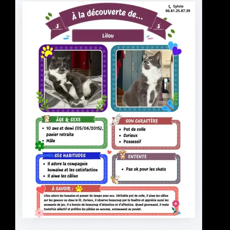 Lilou