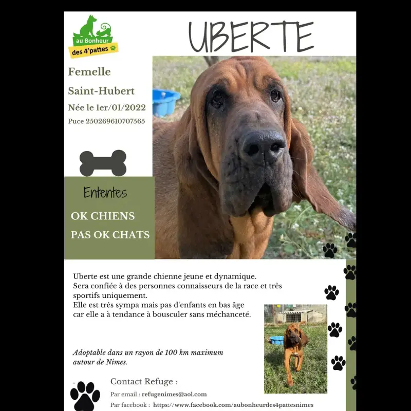 Uberte