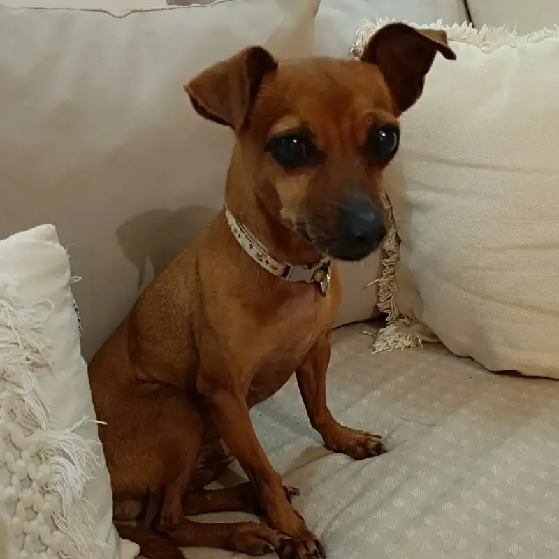 Roxy La Mamie Coquine