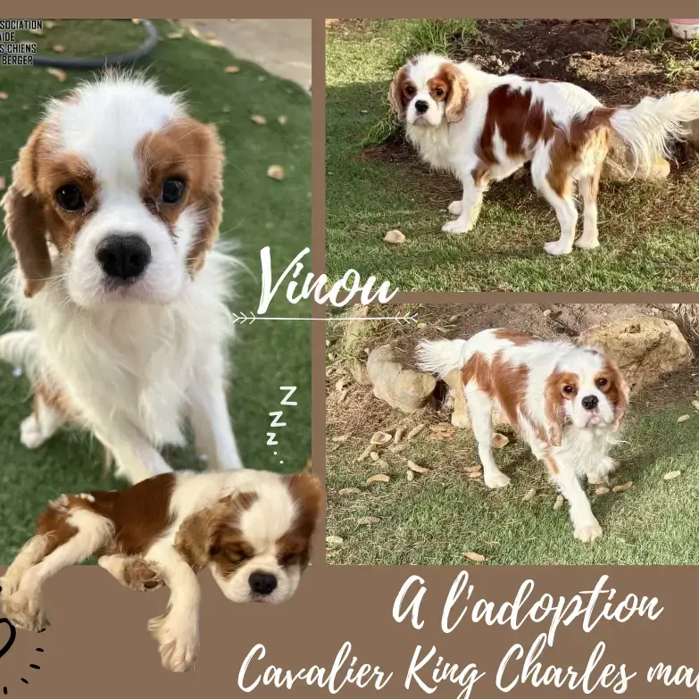 Vinou