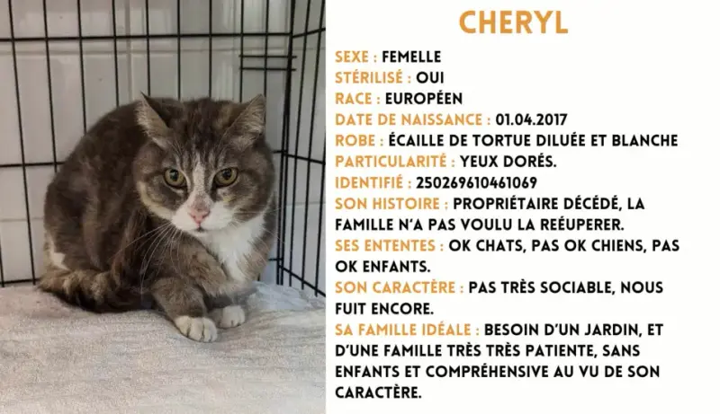 Cheryl