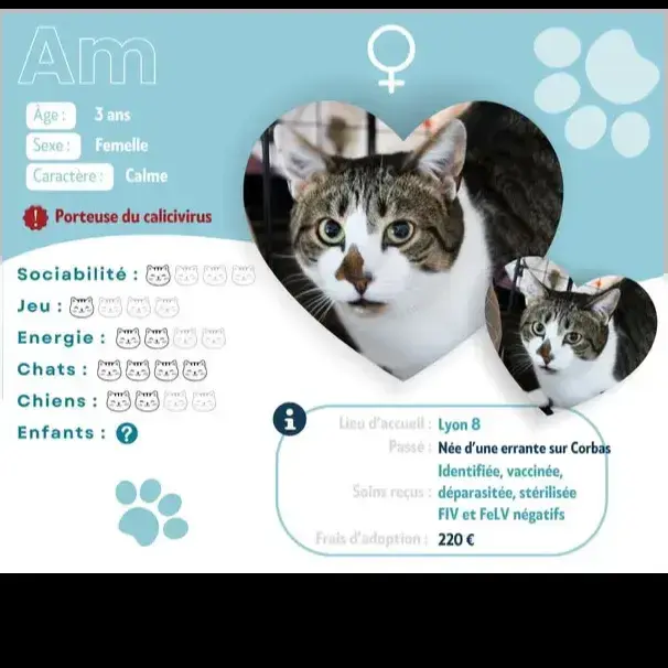 Am